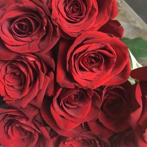 Meet your Posher, Victoria